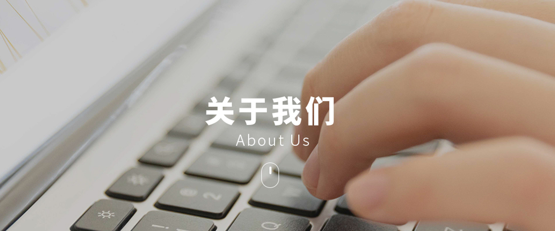 關于上海喬楓